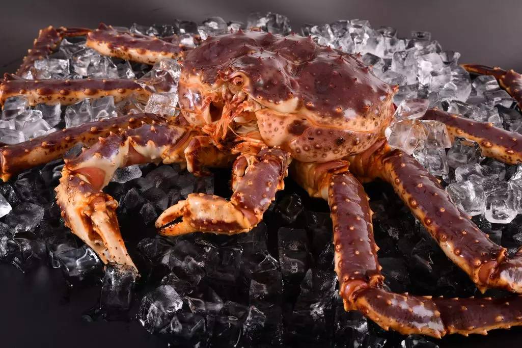 喜提新产品,喜提新品