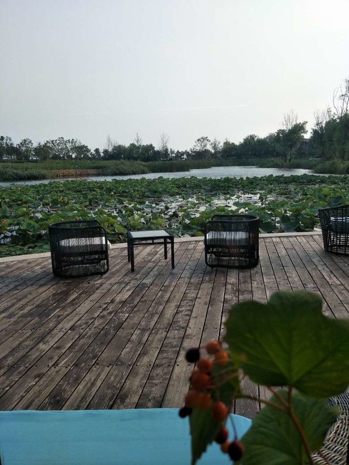 秦皇岛南戴河遛娃好去处,秦皇岛北戴河南戴河亲子游