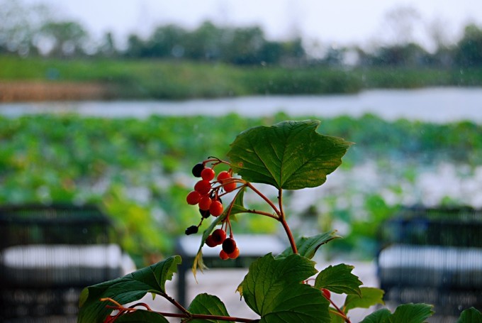秦皇岛南戴河遛娃好去处,秦皇岛北戴河南戴河亲子游