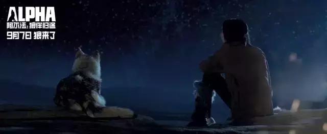 九月上映的电影哪些值得看,九月新片电影推荐