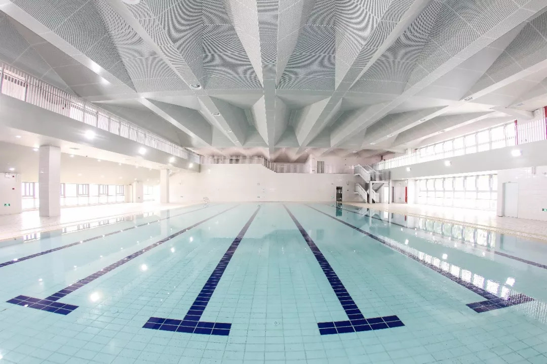 浦东新增10所重点小学,浦东新区区重点小学