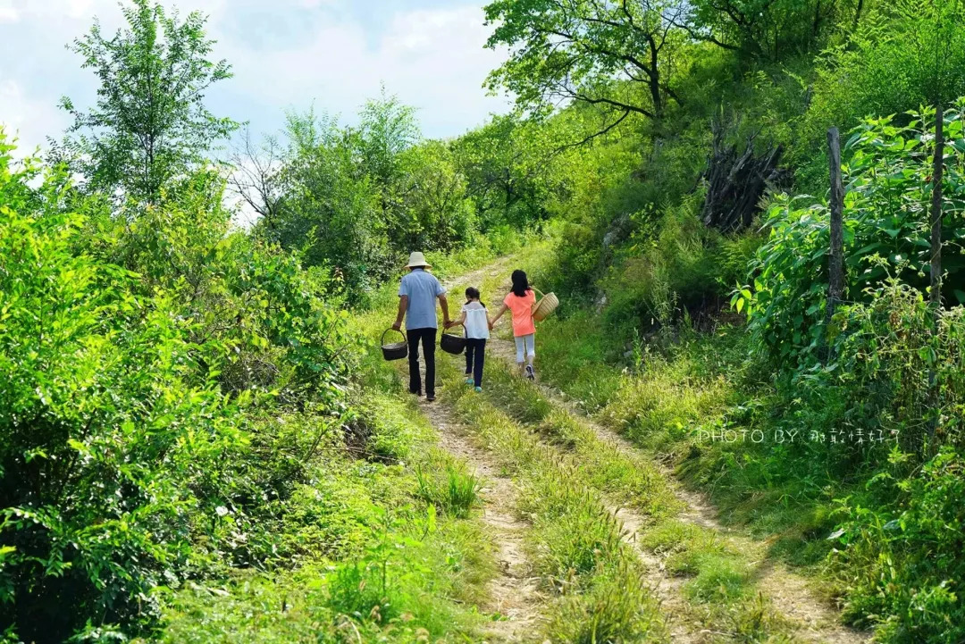 山楂树下农家,辉县山楂树下农家