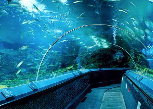 日本横滨自由行旅游攻略,去日本横滨旅游攻略