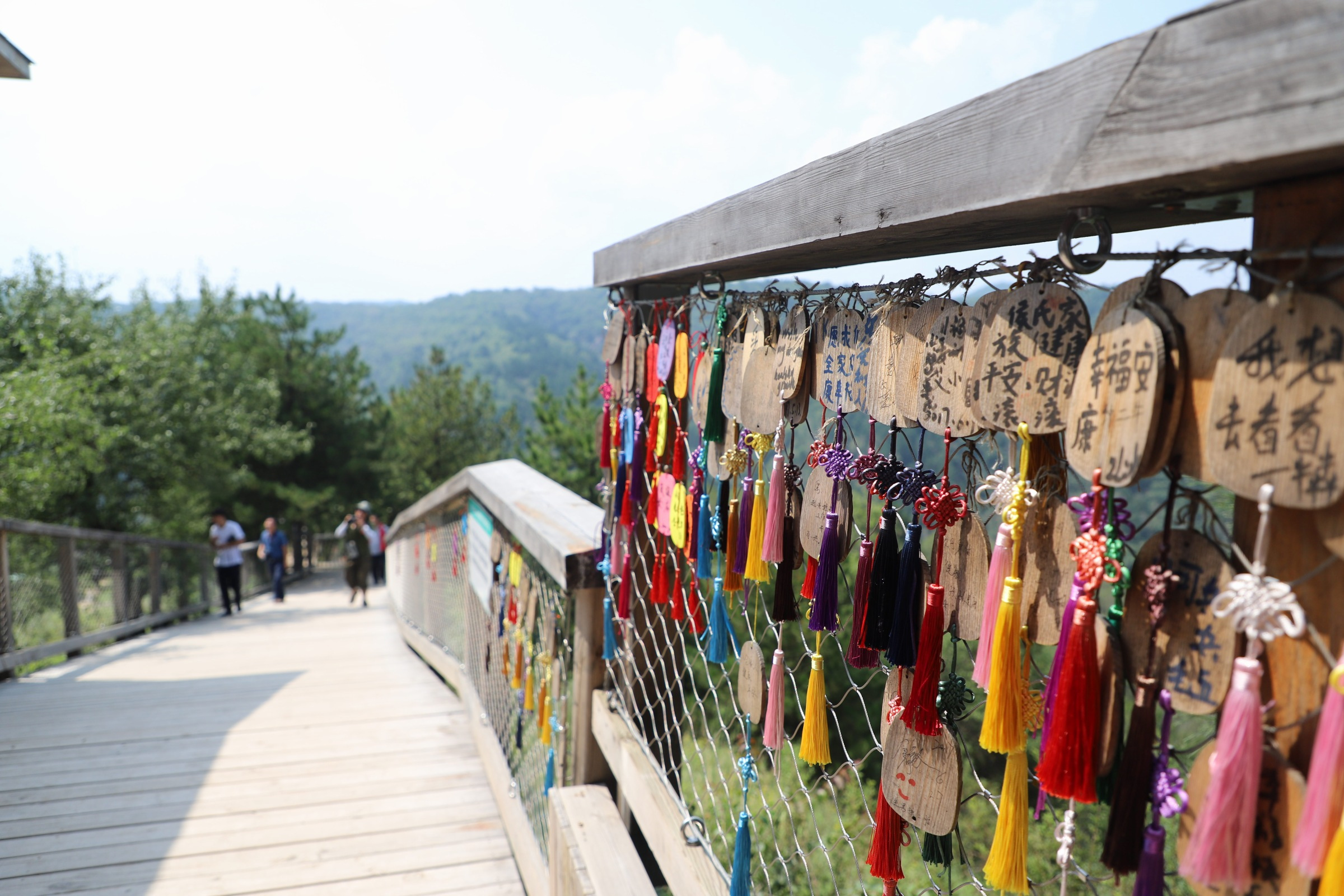 延安黄龙小孩子玩的地方,延安黄龙树顶漫步怎么样