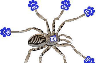 如何正确识别百度蜘蛛Baiduspider，以及真伪检测？