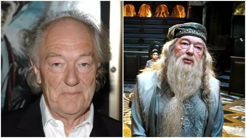 哈利波特的演员现在怎么样了,哈利波特的演员们都拿走了什么