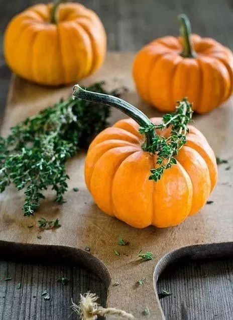 十大最适合孩子吃的蔬菜,孩子吃的蔬菜有什么推荐的