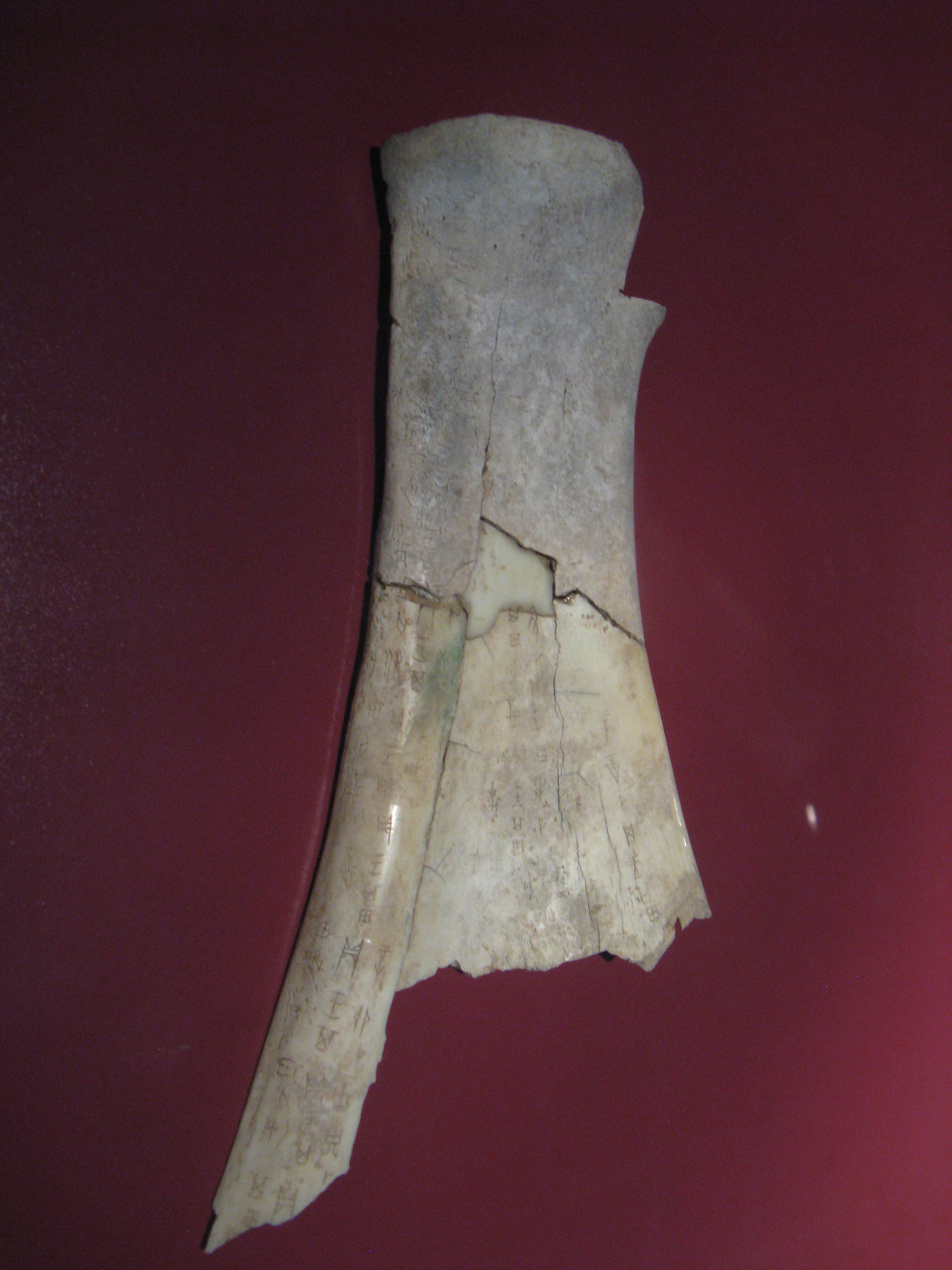 汉字的温度——中国人应该知道的汉字六书