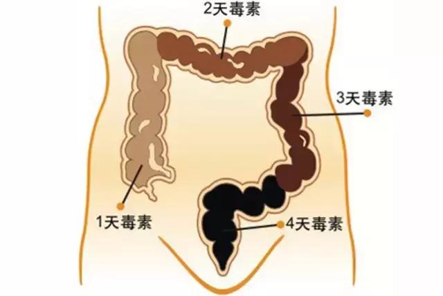 如何把身体的毒素排出来,食物中的毒素怎么去除