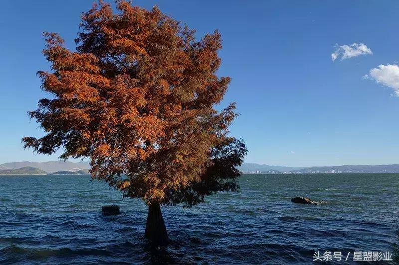 索达吉堪布:为什么要吃素、环保、爱动物?