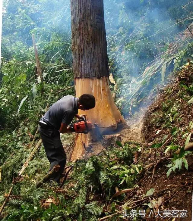 客家人的禁忌习俗，在你的老家都听说过哪些？