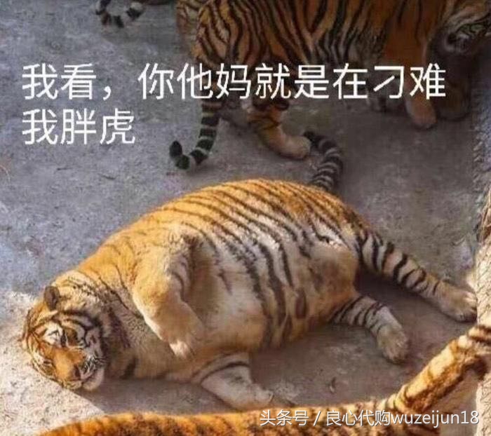 最巅峰的几双aj,aj实战巅峰