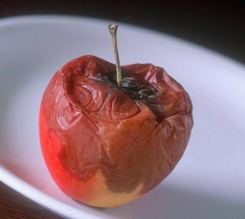 水果霉菌加热100度能杀死吗,如何杀掉水果表面霉菌