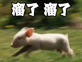 9月放假通知,九月放假安排通知