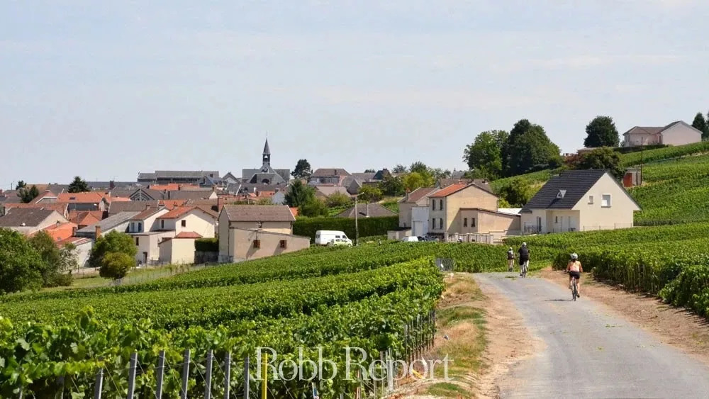 琼瑶杯·美酒丨这个秋天来一场与香槟的冒险之旅