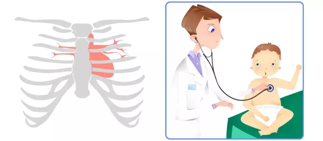手腕测脉搏的方法,测脉搏的部位是哪里图