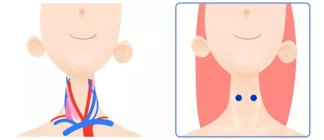 手腕测脉搏的方法,测脉搏的部位是哪里图