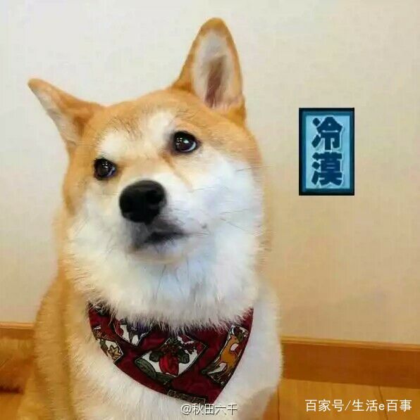 最值得入手不踩坑的化妆品,这些化妆品坑你入了几个