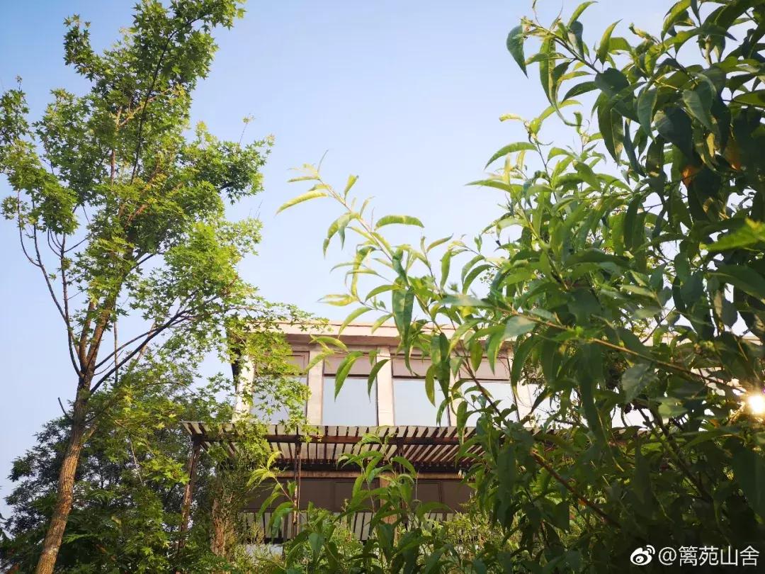 郑州曼哈顿哪个地方适合约会,秋天约会去郑州哪里比较好