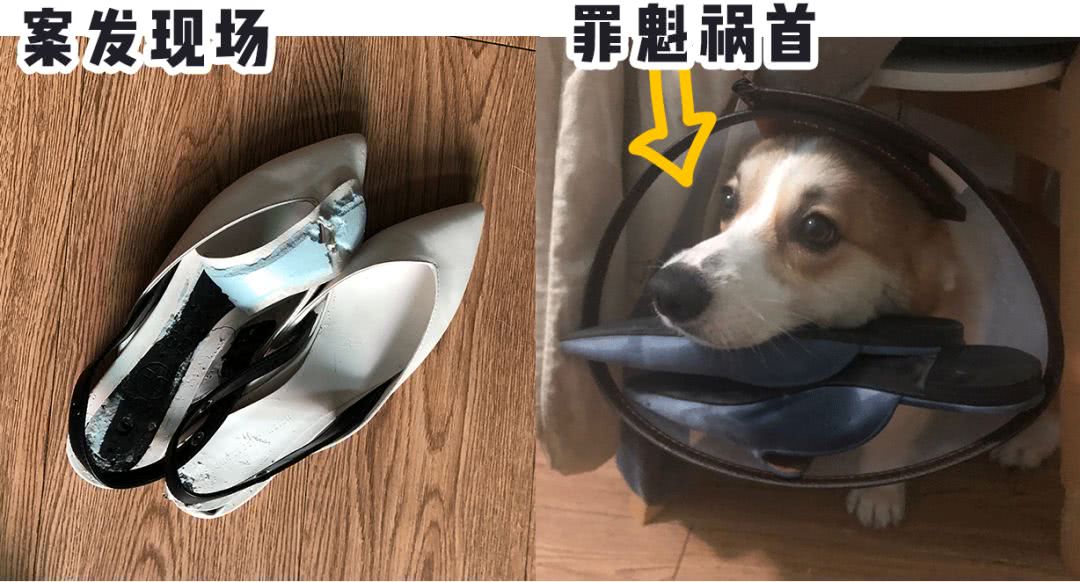 看完员工的鞋子，我哇地一声哭出来