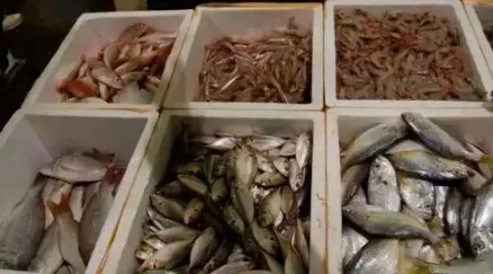 开海了有什么海鲜推荐买的,开海了海鲜去哪里买