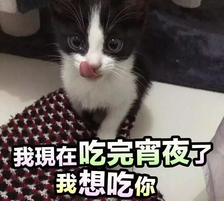 饿了么猫咪外卖,饿了么外卖商家合作