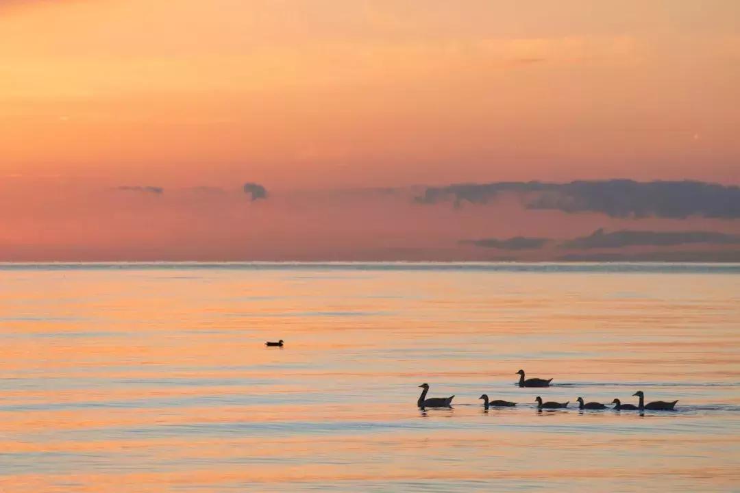 《人民日报》推荐必背的72首古诗文，你会背几首呢？