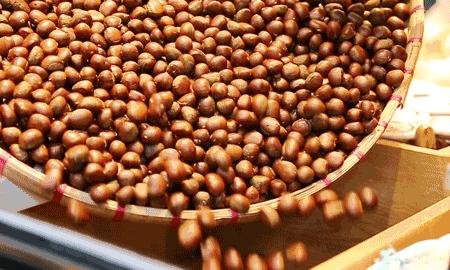 风物特产推介,湖北罗田大红袍板栗