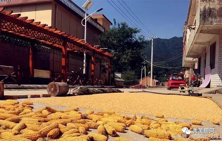 新县美丽乡村有哪些,河南新县美丽乡村旅游景点