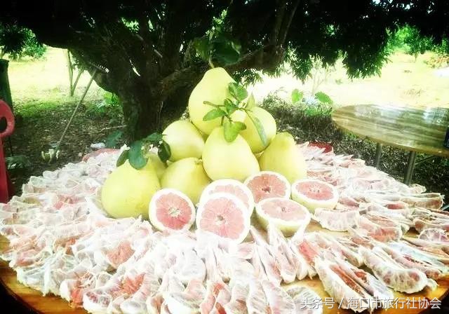 这个季节不能错过的柑橘,这个季节不可错过的水果枇杷