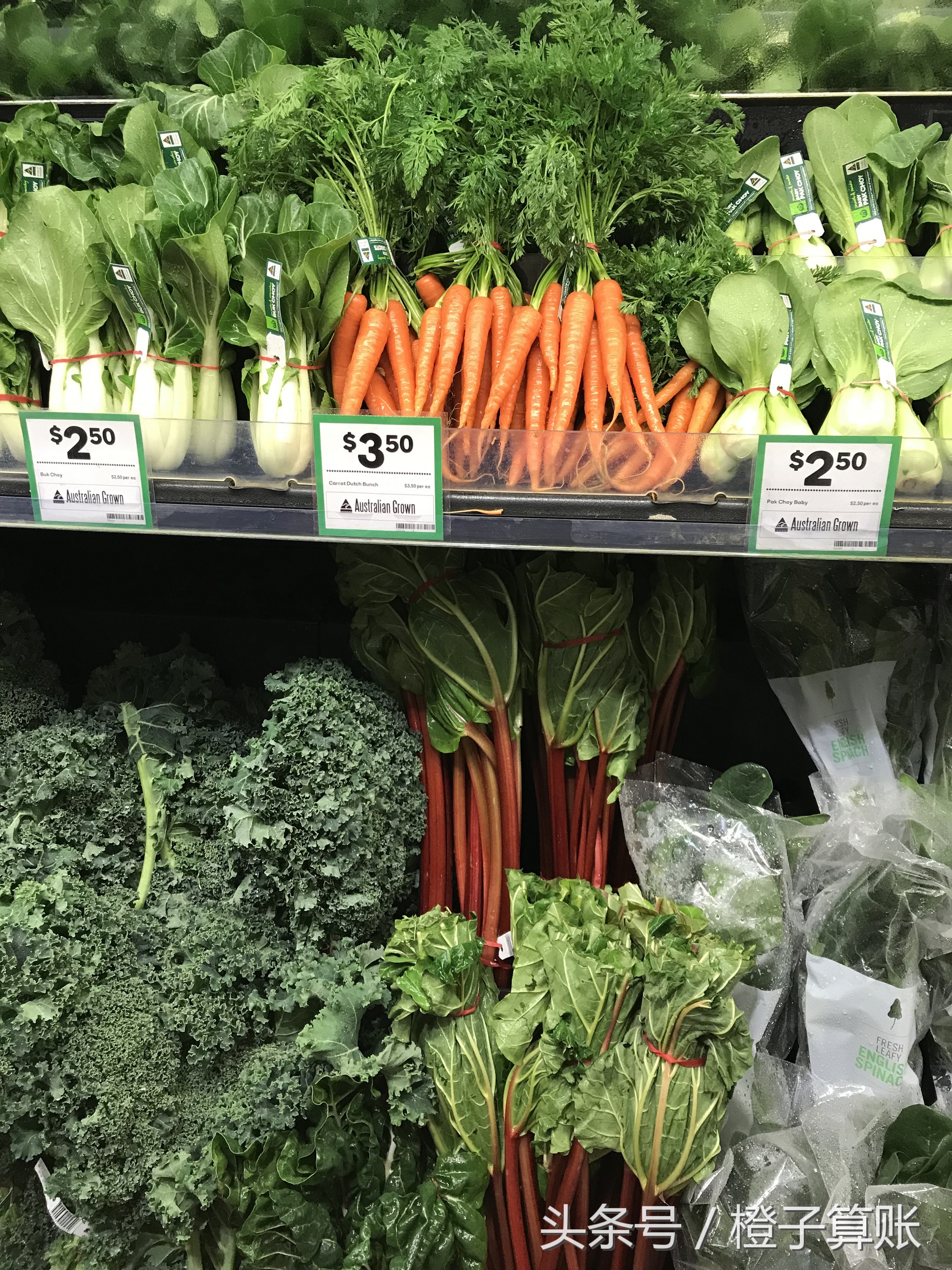 大堡礁怎么去悉尼旅游最好,悉尼自驾大堡礁攻略