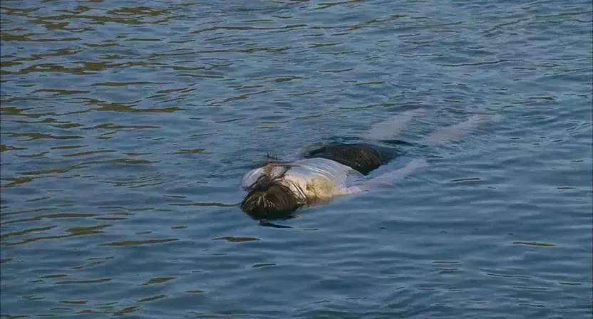 不服不行影视片段,不服不行神剧视频