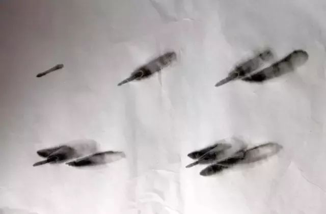 简单方法画虾,怎样画虾教学视频