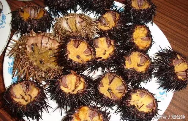 烟台开海现场直播视频,开海现场视频直播