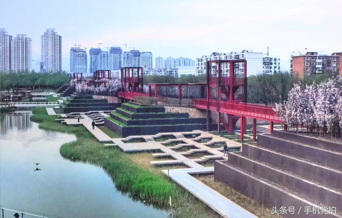 一座桥的20种拍法|教你一招提升“手机摄影观察力”