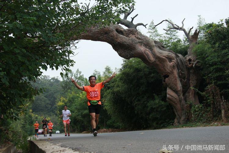 艰辛而难忘的人祖马记忆