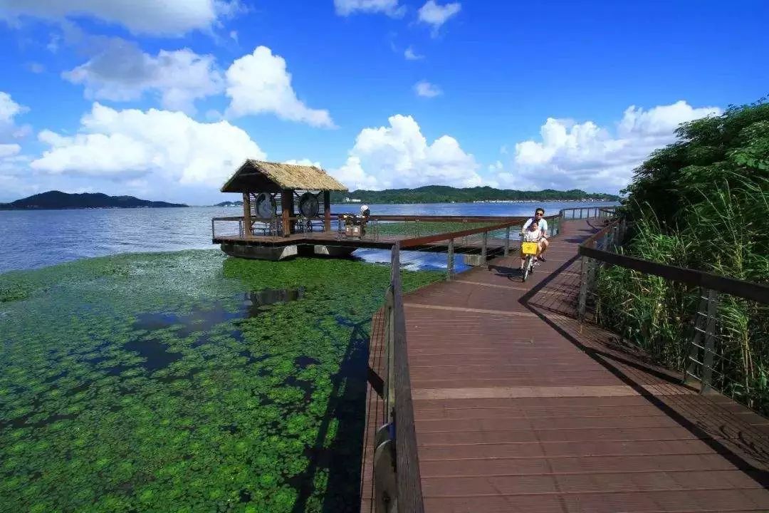 上海飞九月的机票是多少钱,9月29号上海到日本飞机票价格