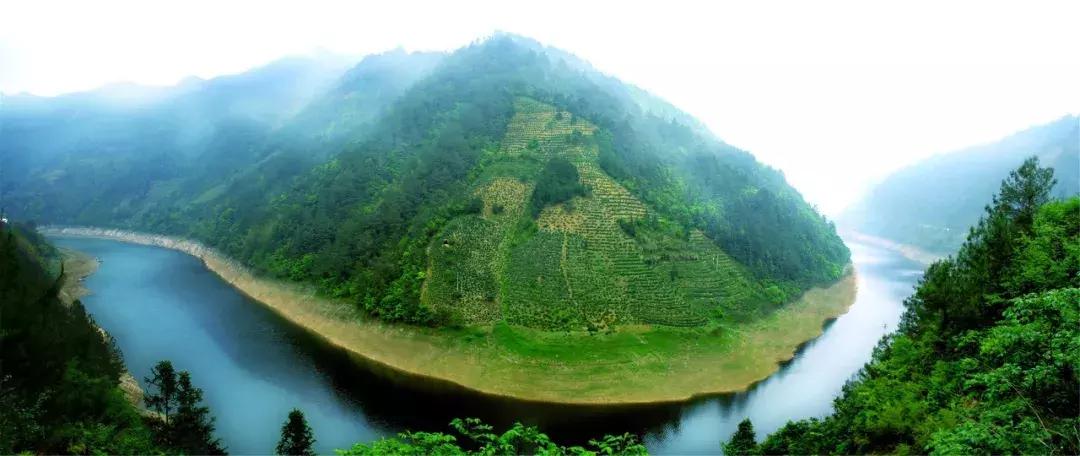 2024年上海国际茶业博览会,2019年上海国际茶文化博览会