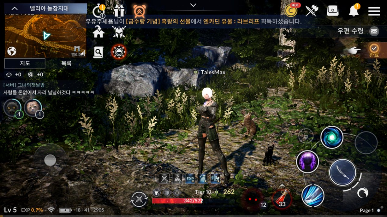 黑色沙漠手游画质堪比端游品质,黑色沙漠手游玩哪个服