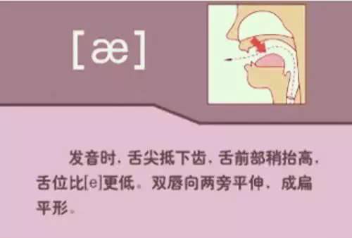 英语音标48个发音有趣教学视频,英语音标48个发音快速记忆