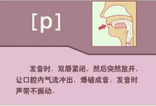 英语48个音标发音教学书籍,英语26个音标发音学习附详细图解