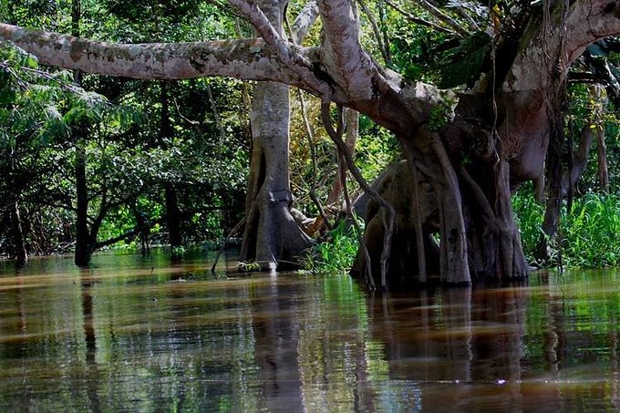 旅游中的抱团心理的来源和形成,旅行圈鄙视链