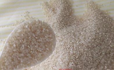 大米放太久怎么办,大米放置时间长了会发霉吗