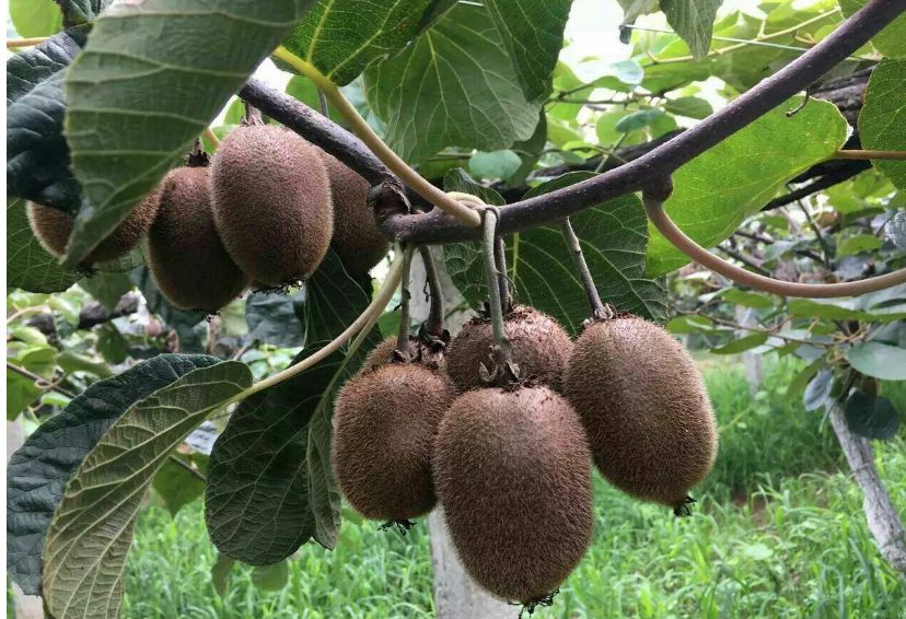 优秀2021年度工作总结简短精辟,陕西2021年度总结报告