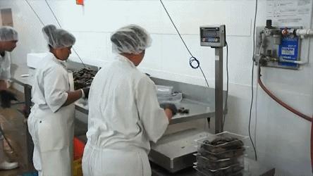 新西兰海边青口贝,新西兰赶海吃青口贝