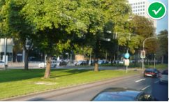 「交通看点」建设“完整林荫道”——步行和自行车交通环境设计建设图集亮点介绍（一）