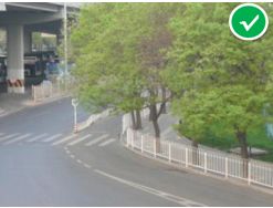 「交通看点」建设“完整林荫道”——步行和自行车交通环境设计建设图集亮点介绍（一）