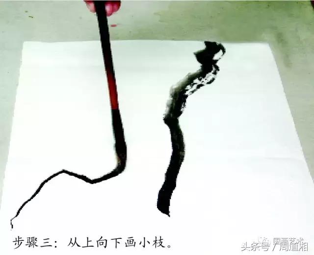 梅花花朵的国画画法视频,大写意梅花枝干国画画法