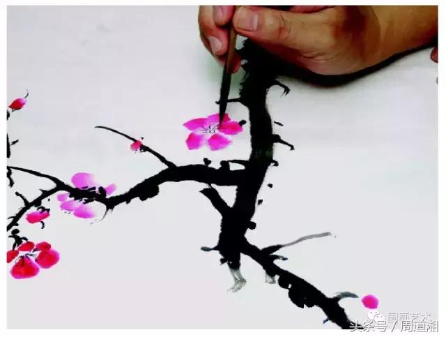 梅花花朵的国画画法视频,大写意梅花枝干国画画法