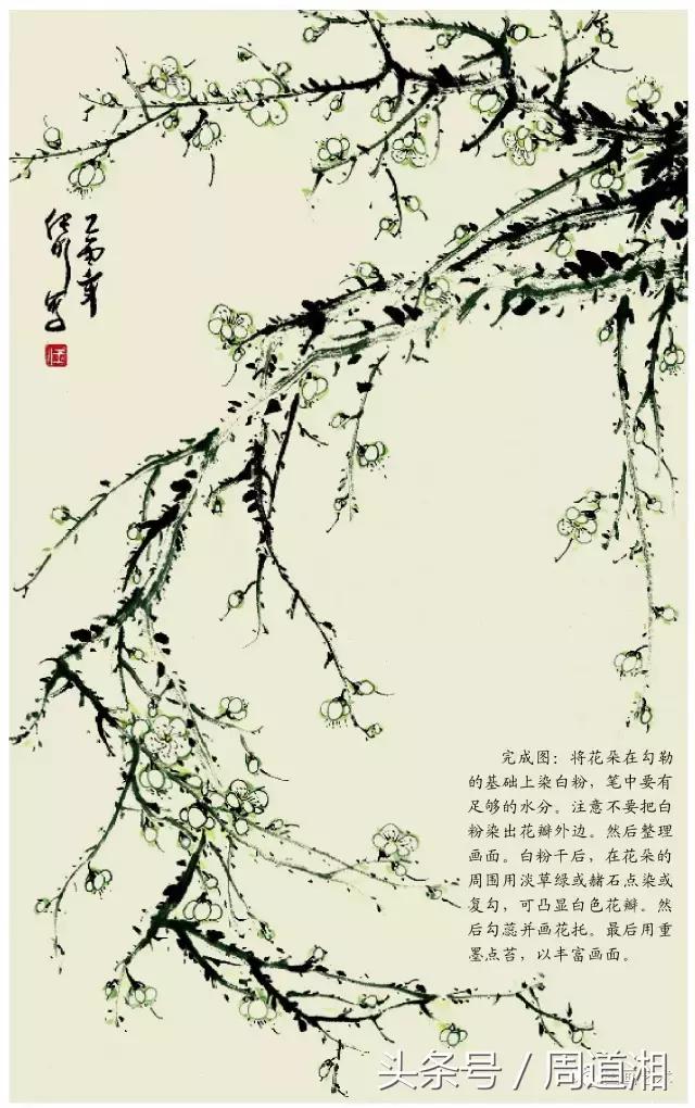 梅花花朵的国画画法视频,大写意梅花枝干国画画法
